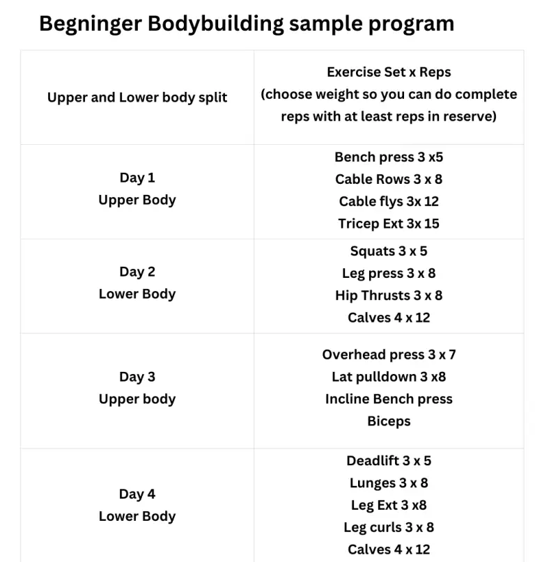 Beginner bodybuilding workout plan